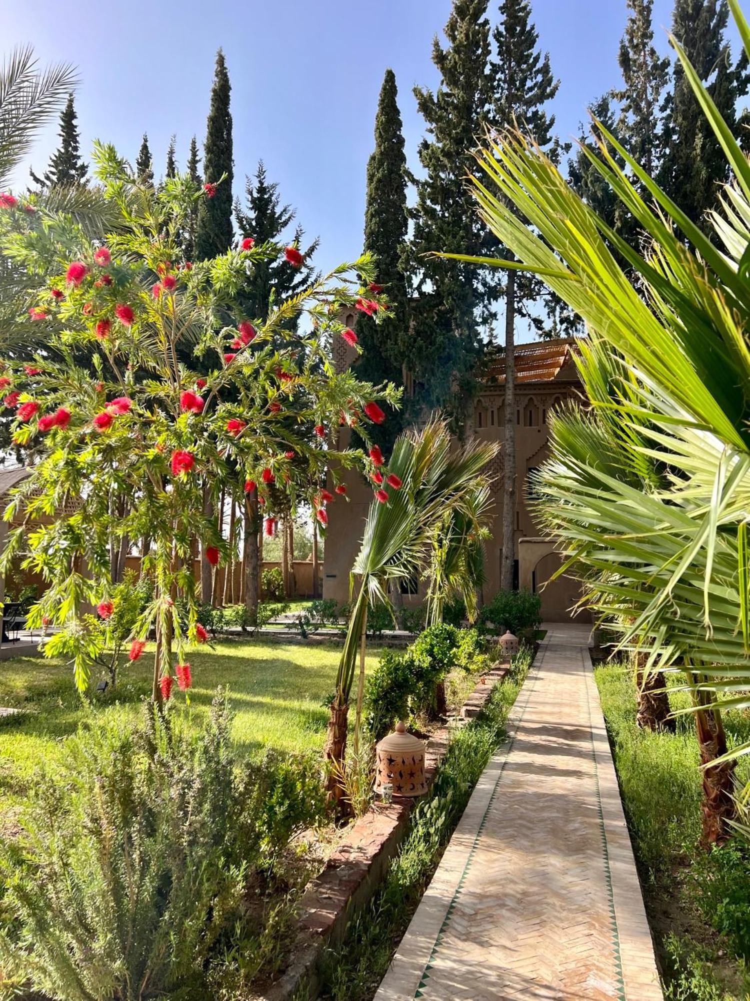 Kasbah Des Cypres Hotel Skoura Exterior photo